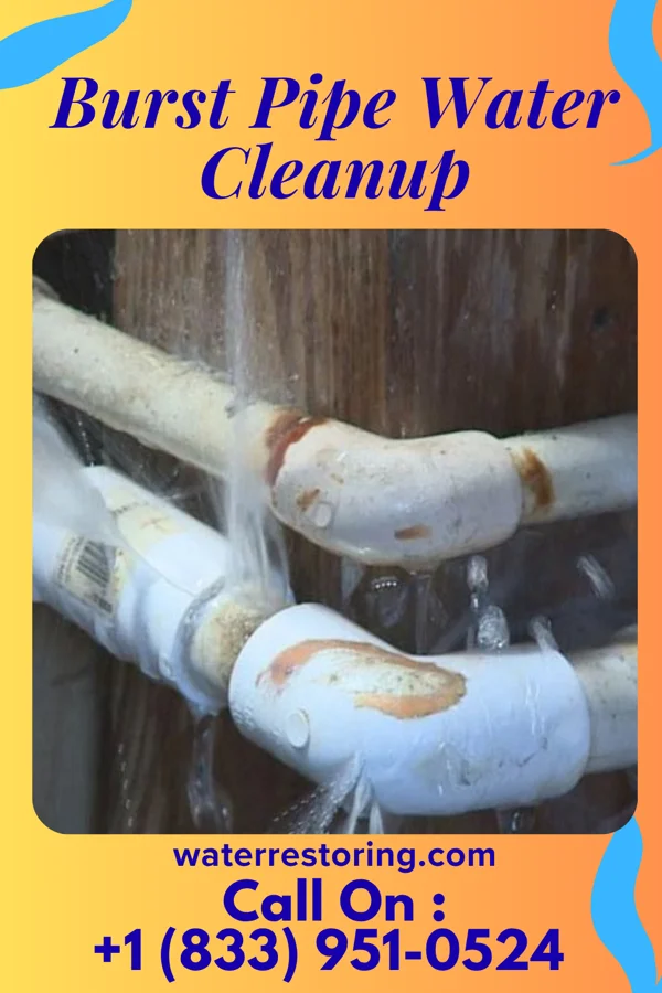 Burst Pipe Water Cleanup in Blair, NE